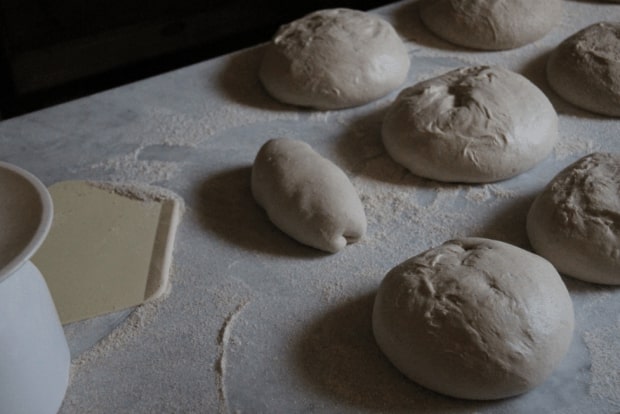 Dough shaped into loaves